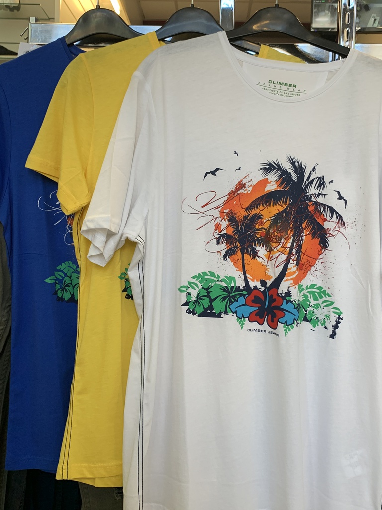 TS PALMIER 076644