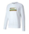TS 6274001
