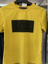 TS 29866