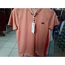 TS ARCA 02040