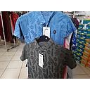 TS ARCA 02046